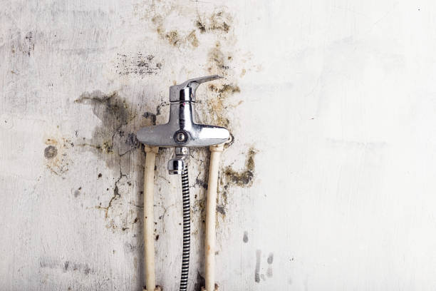 Best Toxic Mold Removal  in Coeur Dalene, ID