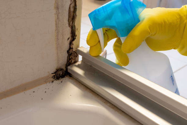 Best Mold Testing  in Coeur Dalene, ID