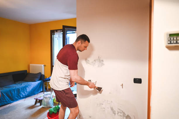 Best Toxic Mold Removal  in Coeur Dalene, ID